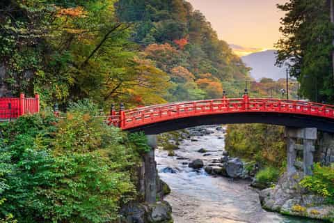 Tokyo:Nikko with English speaking guide/driver customisable - Image 3