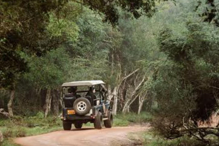 Kandy to Wilpattu Day Tour - Visiting Famous Places