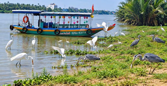 Hoi An Birding Cruise by Sunrise/Sunset
