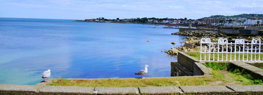 Dublin : visite à pied de la côte de Dun Laoghaire avec un guide de la région