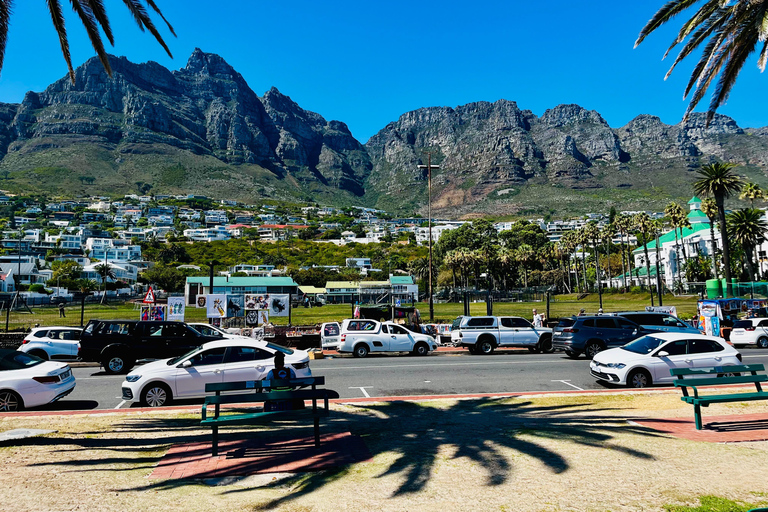 Cape of Good Hope & African Penguins Small Group Tour