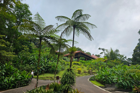 As maravilhas do vulcão Poas e os jardins da cascata de La Paz