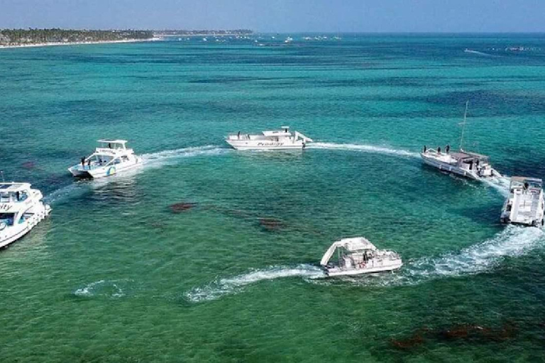 Punta Cana: Cayo Levantado & El Limón Waterfall Day Trip