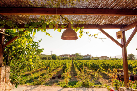Half‑Day Private Olive Oil & Wine Experience in Zakynthos