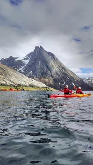 Senja: Guided Fjord Kayaking in Ånderdalen Nationalpark