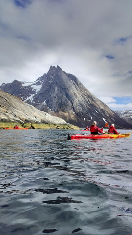 Senja: Guidet Fjord Kayaking in Ånderdalen Nationalpark