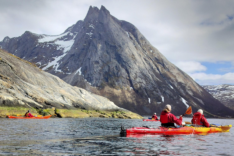 Senja: Fjord Kayaking in Ånderdalen National Park