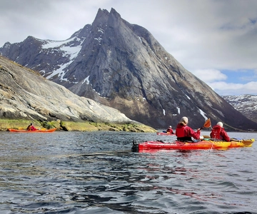 Senja: Fjord Kayaking in Ånderdalen National Park