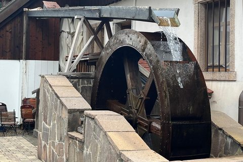 From Basel: Black Forest, Alsace & Colmar Private Day Trip