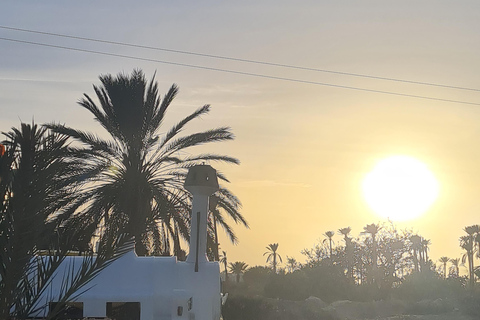 正宗杰尔巴：日落马车之旅和东方小吃正宗杰尔巴岛：日落马车之旅和免费东方小吃