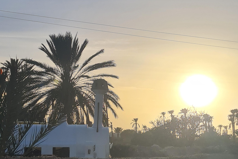 正宗杰尔巴：日落马车之旅和东方小吃正宗杰尔巴岛：日落马车之旅和免费东方小吃