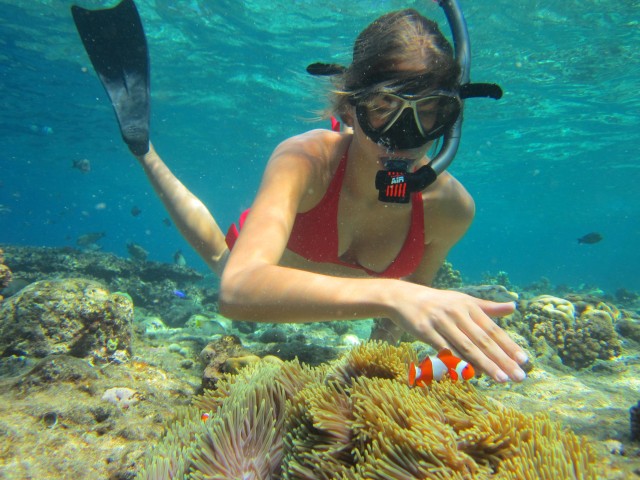 Visit Private Snorkeling Family or Group at Menjangan Island in Pemuteran, Bali, Indonesia