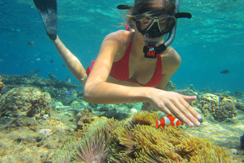 Alle Angebote beinhalten Schnorcheln auf der Insel Menjangan