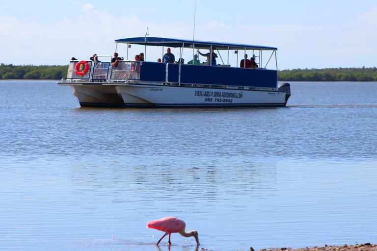 Au départ de Miami : Visite des Everglades avec tour en bateau de 90 minutes