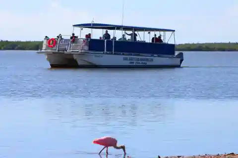 From Miami: Everglades Tour w/90 minute boat trip & 3 Hikes!