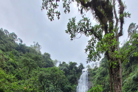 Moshi: Materuni Waterfalls & Coffee Tour with Local Lunch Materuni Waterfalls & Coffee Experience with local Lunch