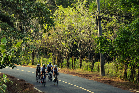 Panama City: Road Bike Training Tour with Hotel Pickup