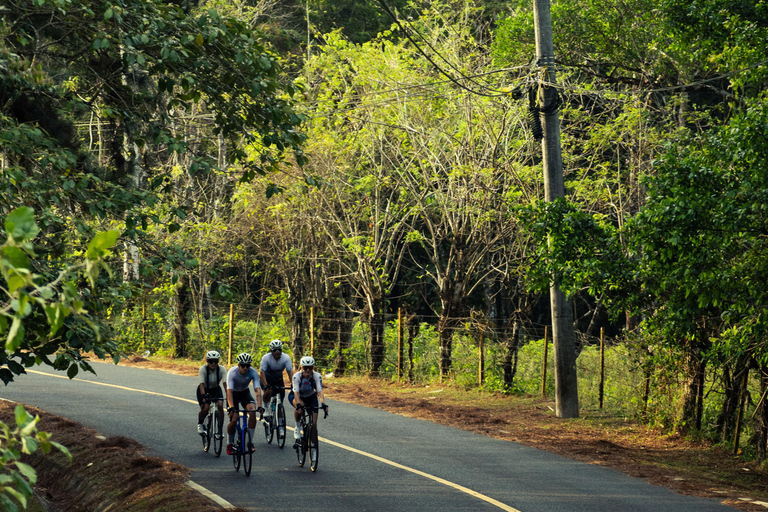 Panama City: Road Bike Training Tour with Hotel Pickup