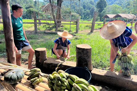 Chiang Mai : Nouvelle maison des éléphants Programme de soins aux éléphantsAvec transfert depuis la ville de Chiang Mai