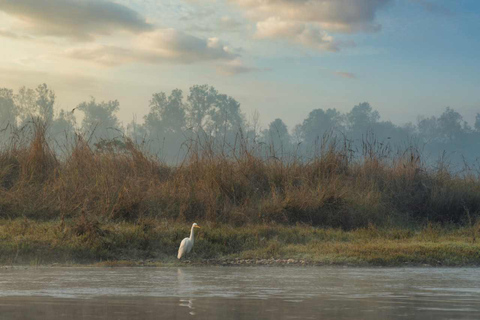 Safari w dżungli Chitwan: 3-dniowa wyprawa do dżungli