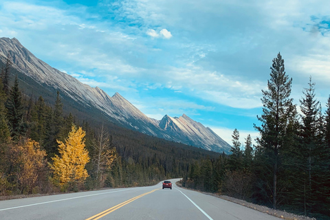 Banff: Lake Louise, Columbia Icefield, Bow &amp; Peyto LakesUpphämtning Banff Canalta Lodge