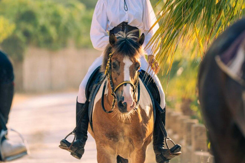 Side: Horse Safari and Family Activity Park Entry 2-Hour Extended Horse Safari Experience