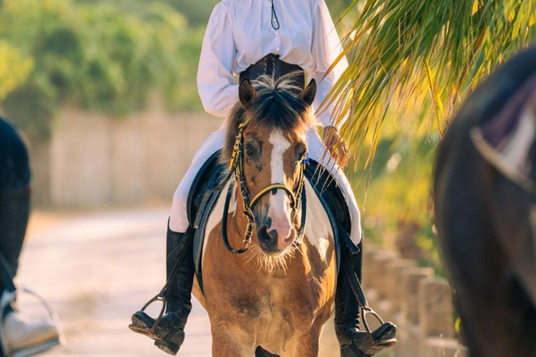 Side: Horse Safari and Family Activity Park Entry 2-Hour Extended Horse Safari Experience