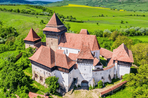 Da Bucarest: fortezze nascoste della Transilvania, tour di 1 giornoDa Bucarest: fortezze nascoste della Transilvania, gita di un giorno
