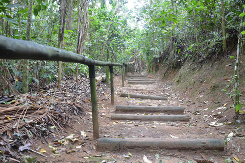 CITY TOUR EN PARATY: Cultura y Naturaleza en un tour privado