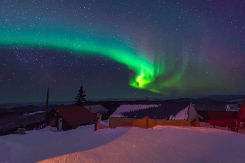 Fairbanks: tour dell&#039;aurora boreale di 6 giorni