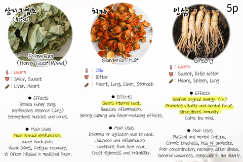 Seúl: clase de infusiones y tour de medicina coreana.Seúl: clase de té de hierbas y tour por la medicina coreana