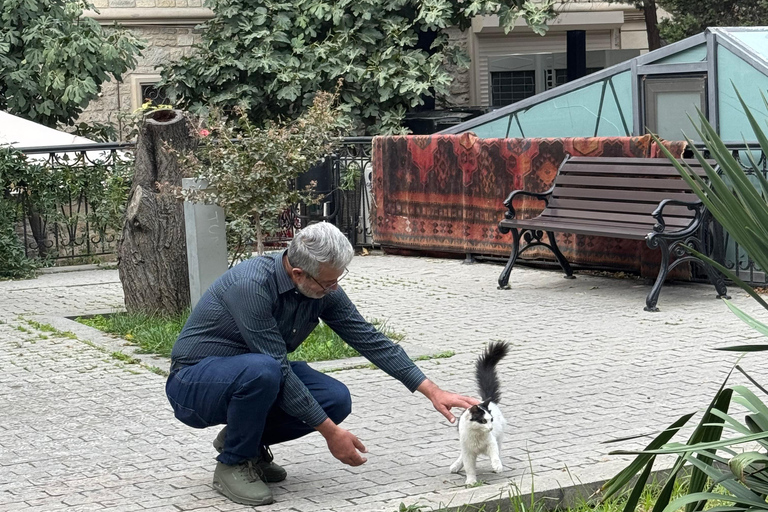Baku: tour a piedi della città vecchia incluso Tè e baklava dell&#039;AzerbaigianBaku: tour a piedi della città vecchia con Tè e baklava dell&#039;Azerbaigian