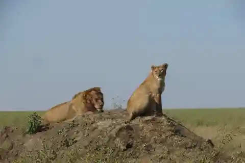 Tanzania: Fly in to Northern circuit