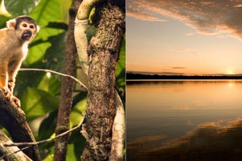 Desde Puerto Mladonado: Lago Sandoval Tambopata