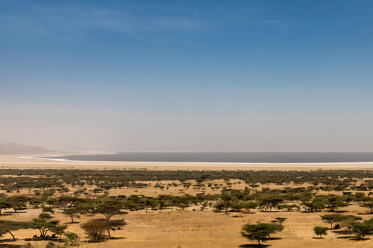 Addis Abeba: 2-dniowa wycieczka do Awassa, jeziora Ziway i Wondo Genet