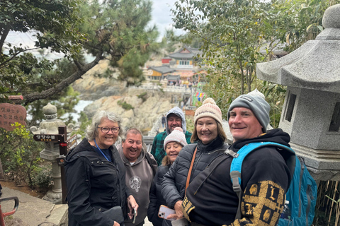 (Guaranteed Return) Busan City Tour for Ulsan Cruise Guests