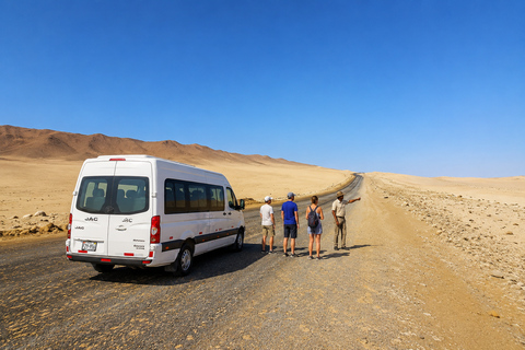 Paracas National Reserve Group Tour from Paracas