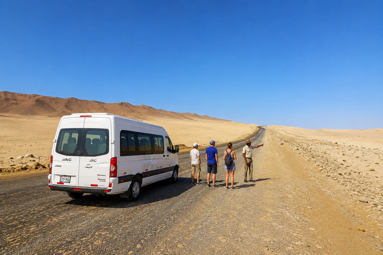 Paracas National Reserve Group Tour from Paracas