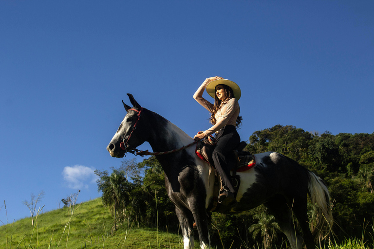 Barbados: Luxury Horse Riding & Drinks Experience + Lunch