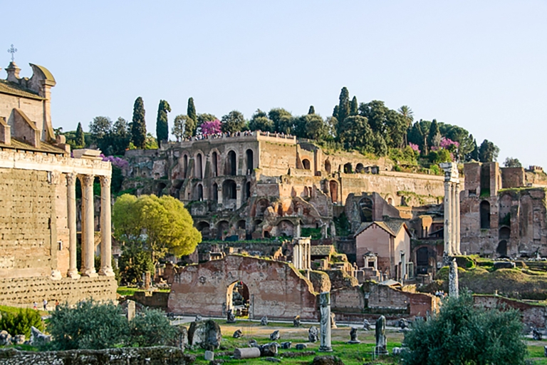 Rome: rondleiding met voorrang Colosseum, Forum en PalatijnFranse tour in kleine groep - Colosseum, Forum & Palatijn