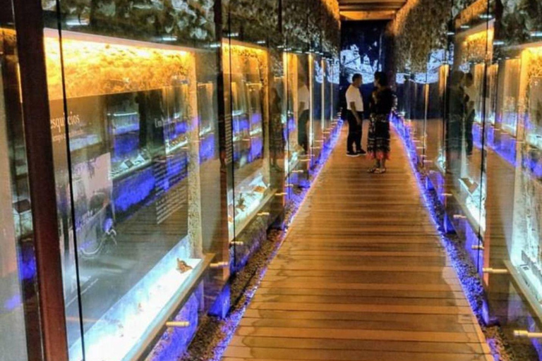 Tour Atlixco and Cholula in a single day.