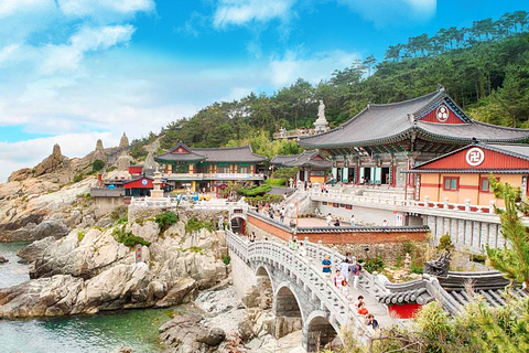 Busan: Busan 10 Highlights Tour Group Tour from Haeundae Ex 4