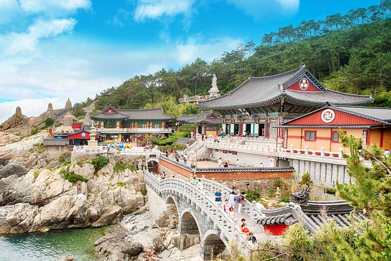 Busan: Busan 10 Highlights Tour Group Tour from Haeundae Ex 4