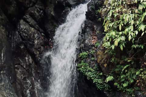Boracay: Nagata Falls Jungle Trek with Transfers - Image 3