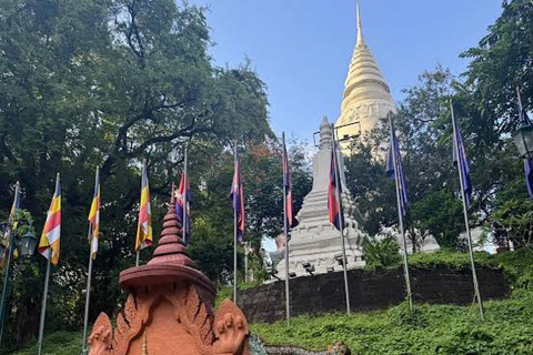 Phnom Penh: Royal Palace, City & Silk Islands -Half/Full Day Half-Day: Royal Palace, Museum, Wat Phnom & Central Market
