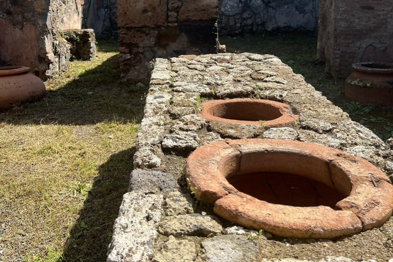 Tour Pompei Scavi e pranzo alle Cantine del Vesuvio