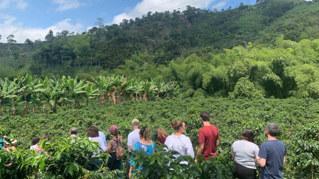Visit Cocoa and Coffee Farm Tours from Pereira or Armenia in Filandia, Colombia
