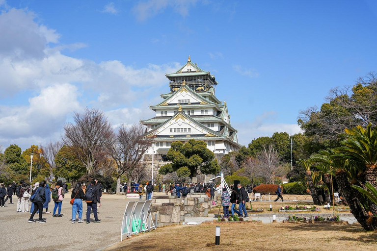 Excursión Privada de un Día a lo Más Destacado de Nara y Osaka