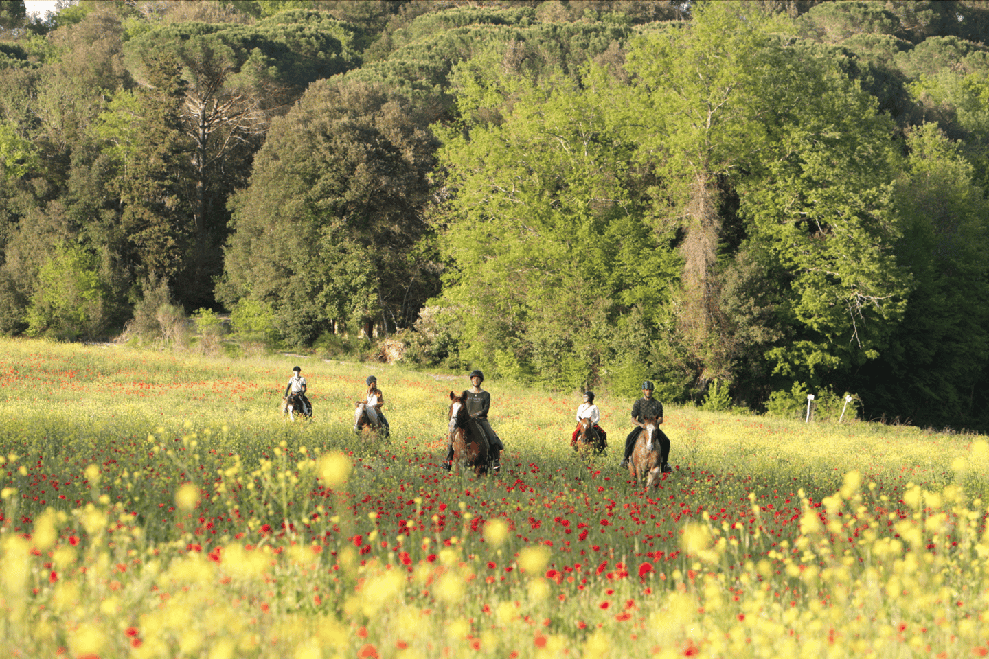 Siena: Horseback Adventure in the Tuscan Countryside