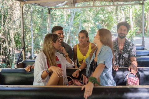 Cancun: ATV, Ziplines and Cenote Adventure in the Jungle Jungle Adventure: ATV, Ziplining & Cenote